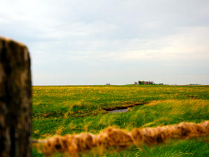 Foto Hallig Langeness