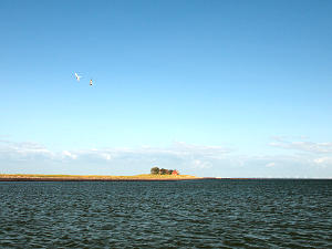 Hallig Langeness