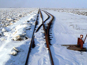 Hallig Langeness verschneiter Lorendamm