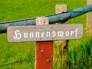 Hunnenswarft Langeness