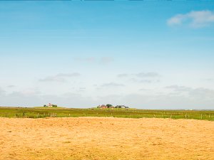 Hallig Langeness Hunnenswarf