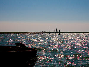 Foto Hallig Langeness