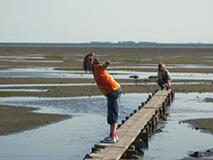 Hallig Langeness