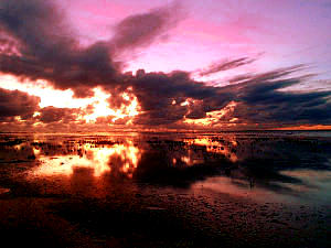 Hallig Langeness Sonnenuntergang