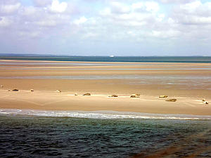 Hallig Langeness